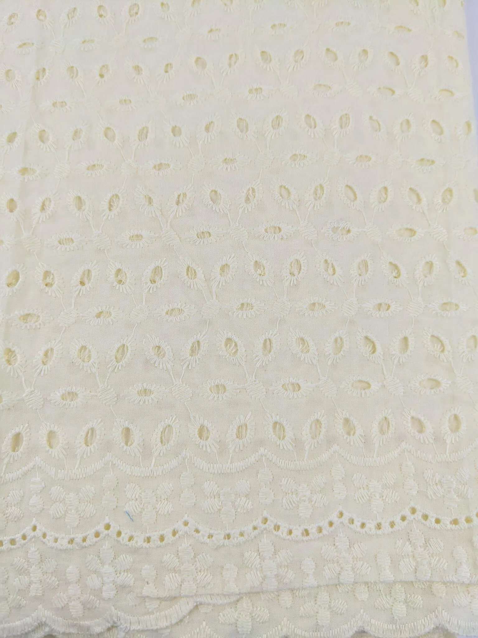 Creme Cotton Dry Lace